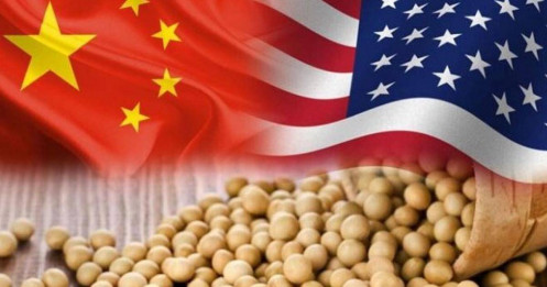 Kỷ lục nhập khẩu đậu tương của Trung Quốc năm 2024: Phân tích tác động đến thị trường toàn cầu