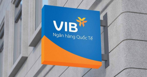 VIB lãi trước thuế hơn 9.000 tỷ đồng năm 2024
