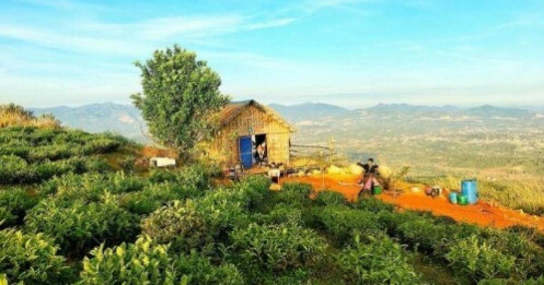 Tháo chạy khỏi homestay Hà Nội vì 'ngáo giá' 22 tỷ đồng