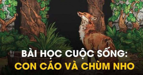 Bài học cuộc sống: Con cáo và chùm nho