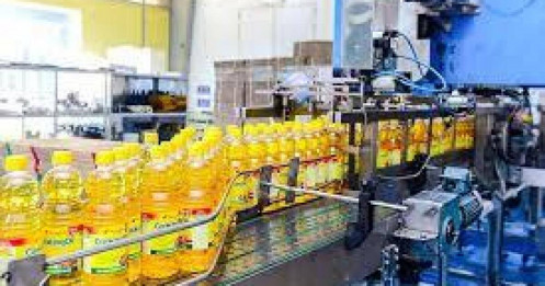 Lợi nhuận Vocarimex “bay màu” hơn 95% trong năm 2024