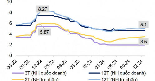 Nhìn lại năm 2024: Những bài học từ sự biến động tỷ giá và lãi suất
