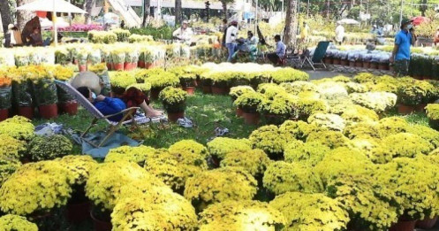 Anh rể lỗ 30 triệu, mẹ tôi 20 năm không mua hoa Tết