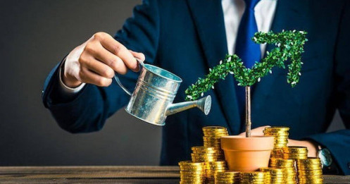 Đầu tư theo hồ sơ tài chính và khẩu vị rủi ro cá nhân năm 2025