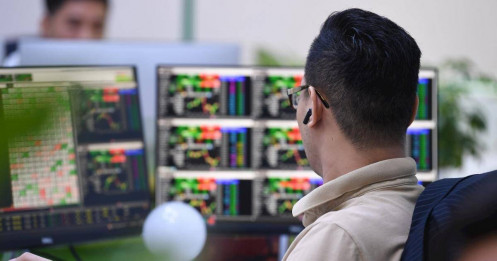 Tích luỹ cổ phiếu nào cho năm con Rắn?