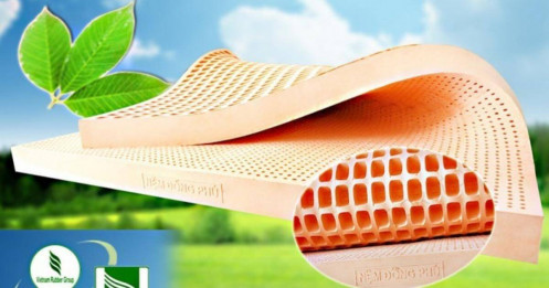 Cao su Đồng Phú vượt kế hoạch năm 2024 nhờ giá bán mủ cao su tăng cao