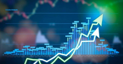 10 cổ phiếu nào được dự báo triển vọng năm 2025?