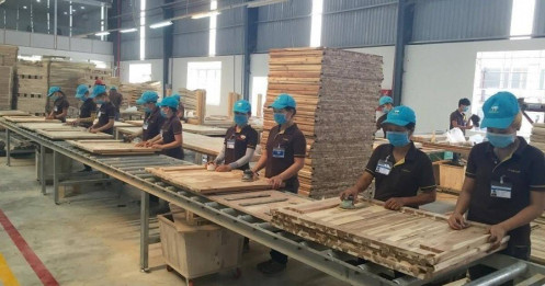 Ngành gỗ ra sao trong năm 2025?