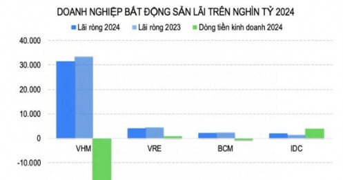 4 DN bất động sản lãi nghìn tỷ trong năm 2024