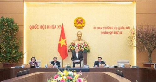 Chính phủ trình cơ cấu tổ chức mới sau sắp xếp, có 14 bộ và 3 cơ quan ngang bộ