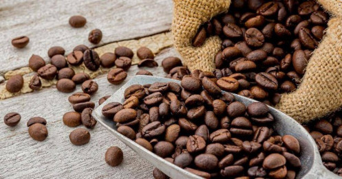 Cà phê Arabica tăng vọt lên mức cao kỷ lục do lo ngại về nguồn cung