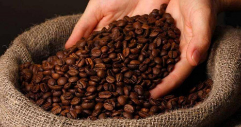 Dự báo sản lượng cà phê Arabica tại Brazil: ảnh hưởng đến thị trường toàn cầu