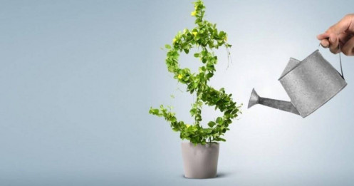 Các kênh đầu tư năm 2025: Cơ hội và thách thức