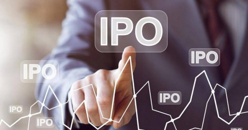 Đã đến thời điểm tốt nhất cho các thương vụ IPO?