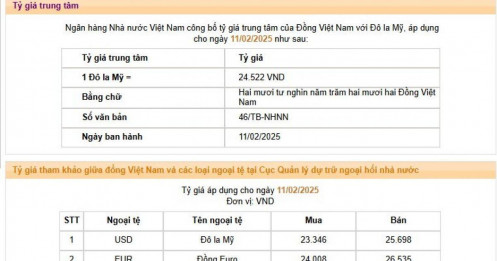 NHNN nâng giá bán USD lên mức cao kỷ lục 25.698 VND/USD