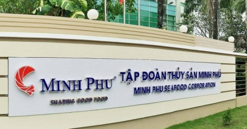 Doanh thu tăng vọt, 'Vua tôm' Minh Phú (MPC) vẫn đối mặt thua lỗ