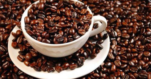 Biến động thị trường cà phê toàn cầu: Giá Arabica lập kỷ lục, Robusta tăng mạnh