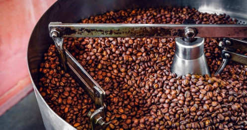 Phân tích nguyên nhân đẩy giá cà phê Arabica lên mức cao kỷ lục