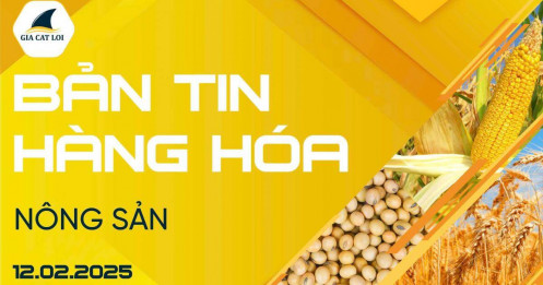 Bản Tin Nhóm Nông Sản Ngày 12/02/2025