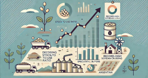 Argentina tăng kỷ lục hoạt động ép dầu đậu tương: Tác động và triển vọng