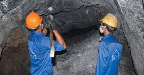 Cổ phiếu BKC bứt phá đầu năm, khởi động ấn tượng