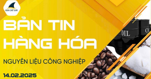 Bản Tin Nhóm Nguyên Liệu Công Nghiệp Ngày 14/02/2025