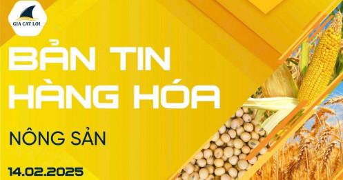 Bản Tin Nhóm Nông Sản Ngày 14/02/2025