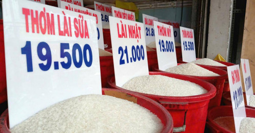 Gạo bán lẻ vẫn ở mức đỉnh dù giá xuất khẩu giảm mạnh