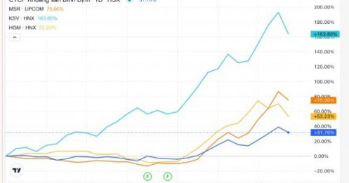 Sau tăng nóng, cổ phiếu khoáng sản quay đầu nằm sàn