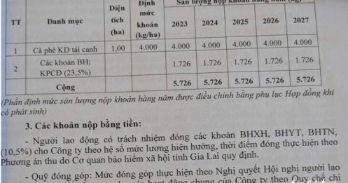 Vụ đóng bảo hiểm xã hội bằng cà phê: Giám đốc hai công ty giải thích thế nào?