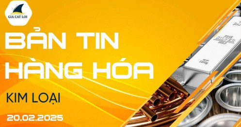 Bản Tin Nhóm Kim Loại Ngày 20/02/2025
