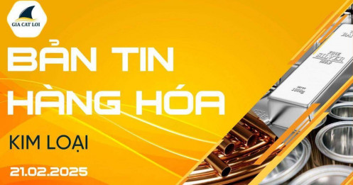 Bản Tin Nhóm Kim Loại Ngày 21/02/2025