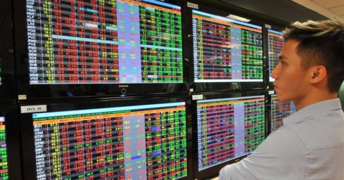 Phân bổ vốn vào nhóm cổ phiếu nào?