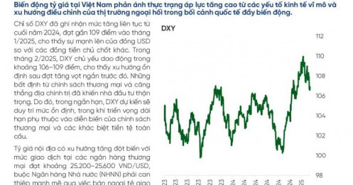 VND có thể mất giá 5% trong năm 2025