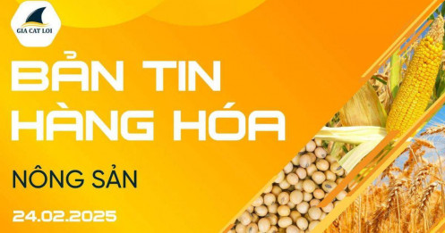 Bản Tin Nhóm Nông Sản Ngày 24/02/2025