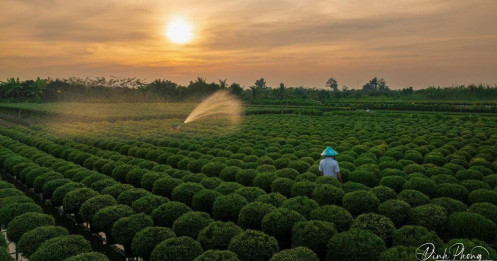 Kháng cự sinh ra là để vượt! Tâm sự trước tuần giao dịch mới