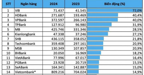 3 ngân hàng ghi nhận mức tăng trưởng cho vay doanh nghiệp cao nhất năm 2024