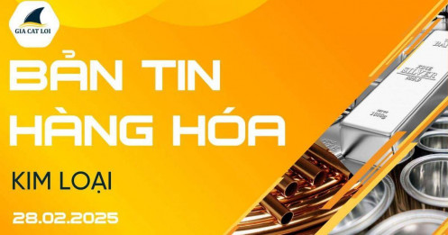 Bản Tin Nhóm Kim Loại Ngày 28/02/2025