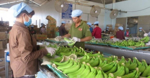 Dày đặc 'chướng ngại vật' trên con đường vay vốn