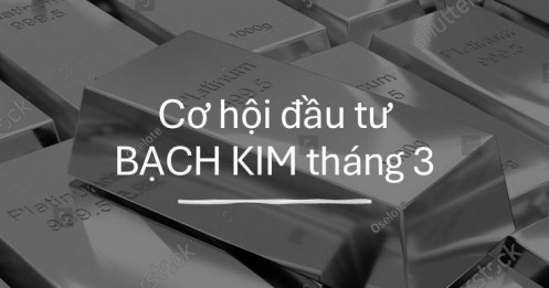 Nhận định sản phẩm Bạch Kim tháng 3