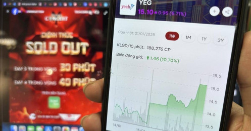 Cổ phiếu YEG được mua với giá hấp dẫn