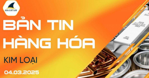 Bản Tin Nhóm Kim Loại Ngày 04/03/2025