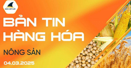 Bản Tin Nhóm Nông Sản Ngày 04/03/2025