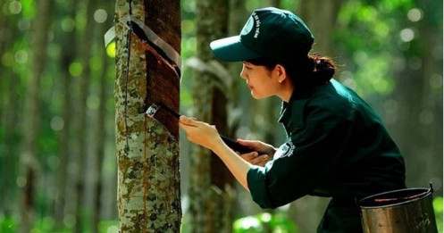 Cổ phiếu ‘vàng trắng’ kỳ vọng nối dài đà tăng