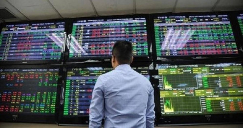 Khi báo chí dữ liệu trở thành công cụ "lọc nhiễu, tìm tinh túy"