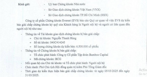 Phó Chủ tịch Bamboo Capital bị bán giải chấp 6,5 triệu cổ phiếu BCG