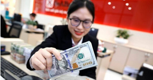 Giá USD lao dốc, dự báo mới nhất về tỉ giá tại Việt Nam