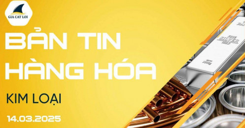 Bản Tin Nhóm Kim Loại Ngày 14/03/2025
