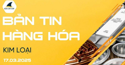 Bản Tin Nhóm Kim Loại Ngày 17/03/2025