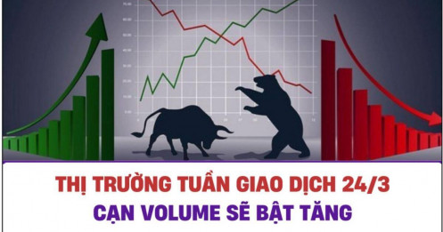 Chiến lược tuần 24/3/2025: Cạn Volume sẽ bật tăng!